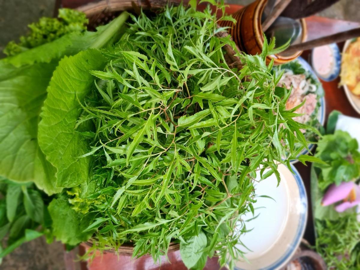 Ba Danh Homestay & Kitchen - Ben Tre Mekong Eksteriør billede