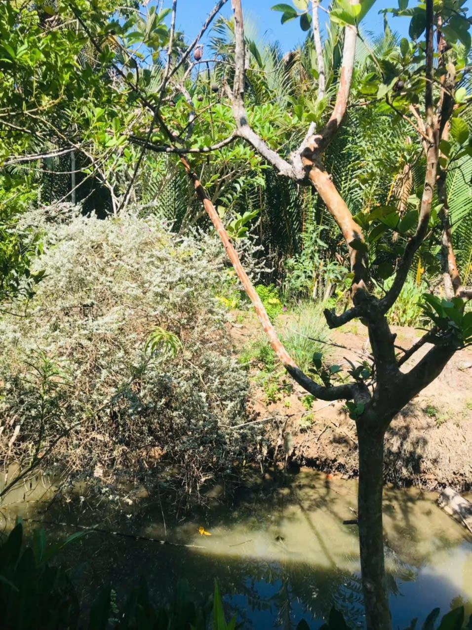 Ba Danh Homestay & Kitchen - Ben Tre Mekong Eksteriør billede