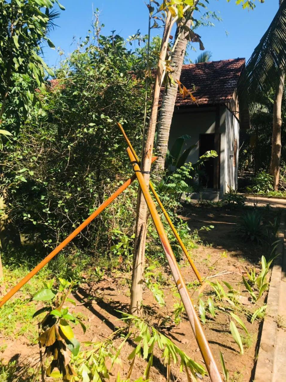 Ba Danh Homestay & Kitchen - Ben Tre Mekong Eksteriør billede
