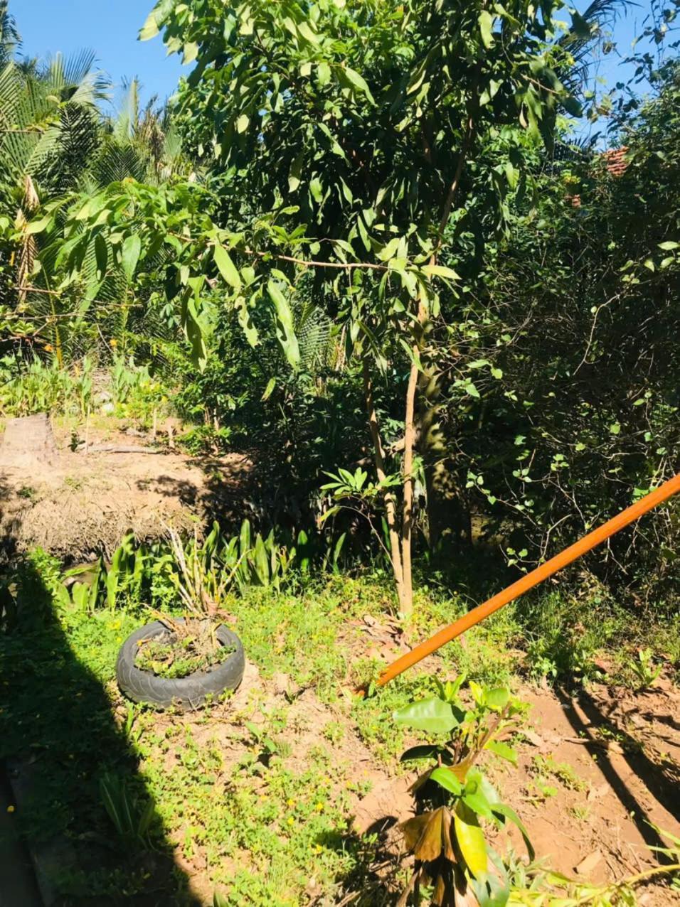 Ba Danh Homestay & Kitchen - Ben Tre Mekong Eksteriør billede